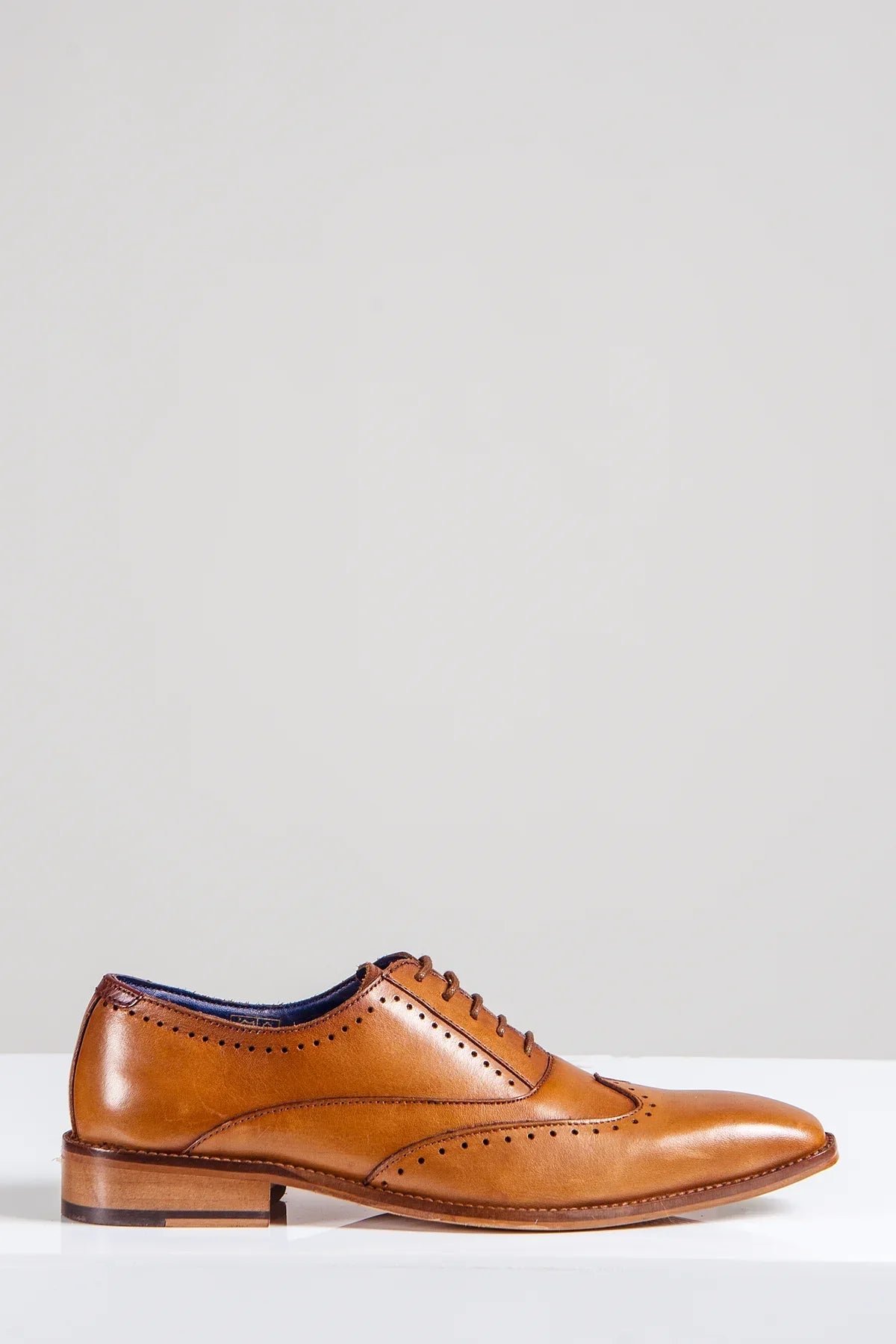 Hnedé kožené topánky, Marc Darcy Carson, Wingtip brogue